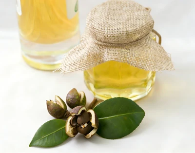 Tea Seed Oil Press Tea Seed Oil Press